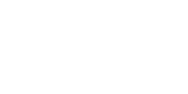 Blackfly Logo