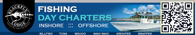 Blackfly Lodge Fishing Inshore Offshore Day Charters